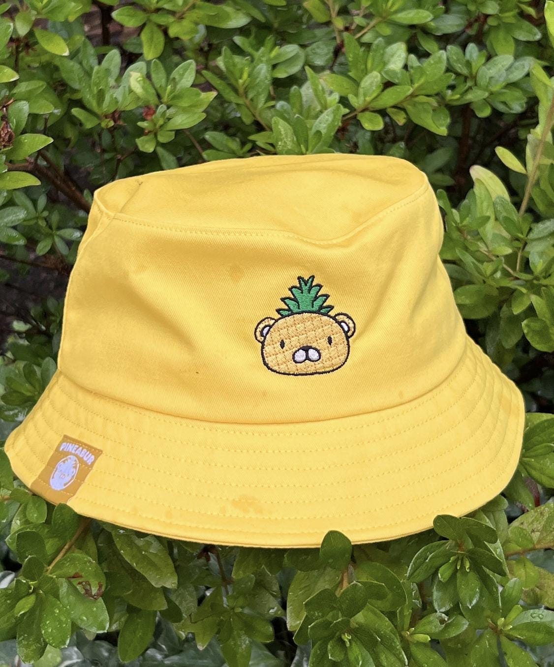 Pineabur Bucket Hat