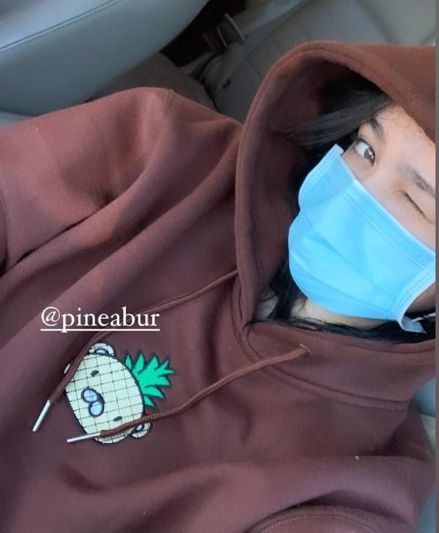 Pineabur Brown Hoodie: Cute Japanese Style