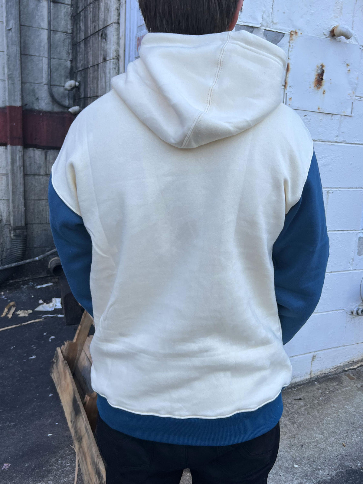 Taiyaki Japanese Multicolor Hoodie