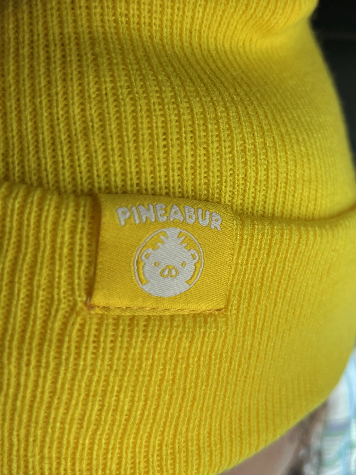 Pineabur Beanie